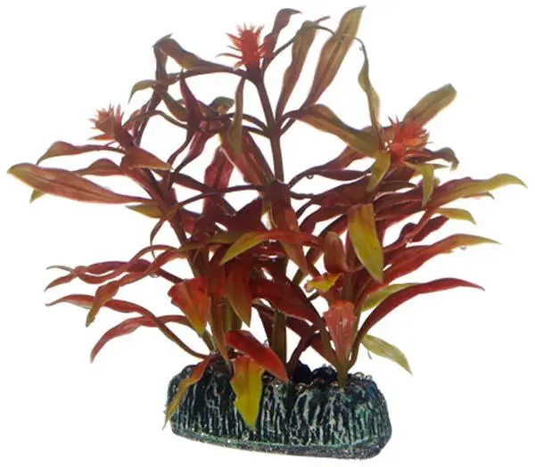 Hobby Nesaea 7 cm
